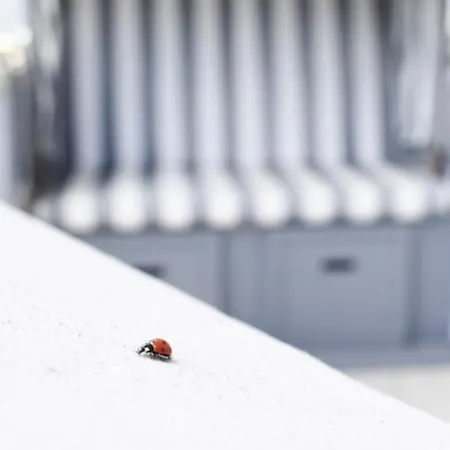 Apartamento Long Island Lubeca